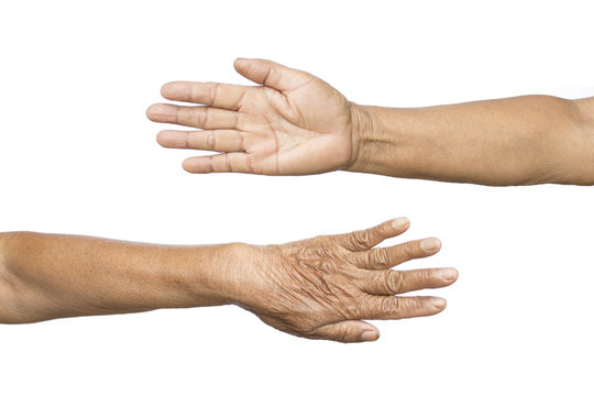 Old hands of woman on white background