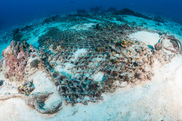 An abandoned fishing net polluting the seabed on a tropical coral reef