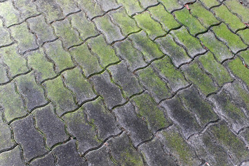Weathered footpath pavement with green moss.