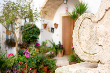 Horizontal View of an Ancient Wall on Blur Flowered Background in the City of Locorotondo, in the South of Italy