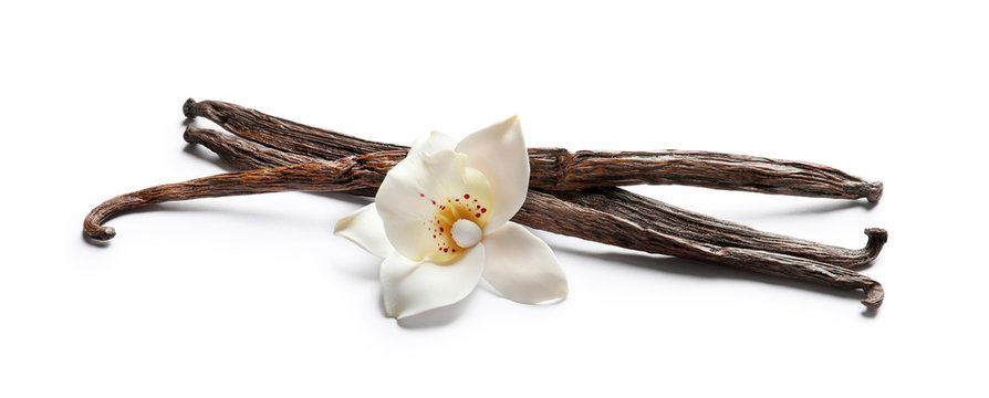 Vanilla sticks and flower on white background
