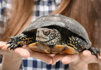Woman with pet turtle, closeup