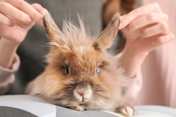 Woman with pet rabbit, closeup