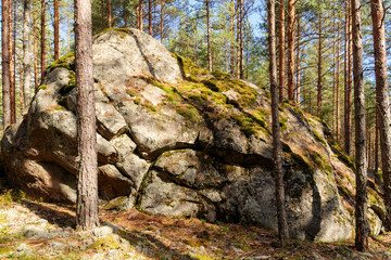 Large rock in forest