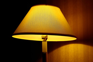 a tall electric lamp that stands the floor or a desk