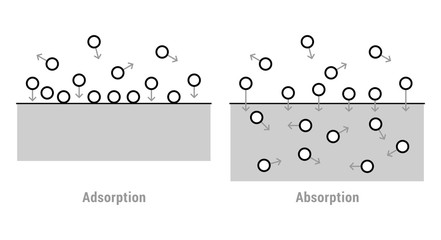 Scheme of absorption and adsorption © dnbr