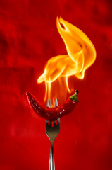 chili pepper red on fire, burning pepper, hot pepper, on a red and black background