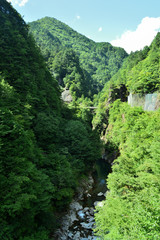 Fototapeta na wymiar In the summer of Japan, forest and clear river flowing through valley.