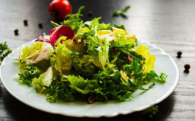 various fresh mix salad leaves with lettuce, radicchio, and rocket in plate on dark wooden background