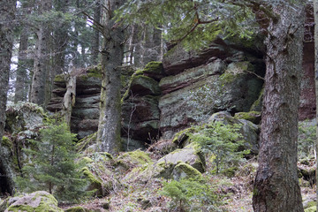 Sandstteine im Wald