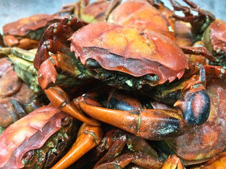field crab roasted salt