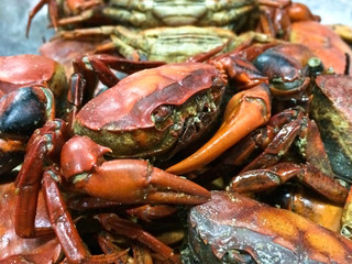 field crab roasted salt