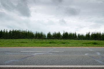 Highway. Road with white marking is seen from the side, surrounded by green fields and forest.Horizontal frame.