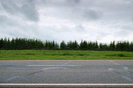 Highway. Road With White Marking Is Seen From The Side, Surrounded By Green Fields And Forest.Horizontal Frame.