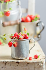 Sweet wild strawberries on the old white chair