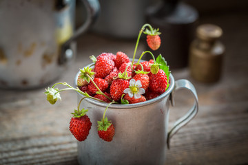 Ripe wild strawberries in the old metal mug