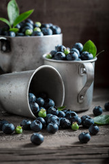 Fresh blueberry in the old metal mug