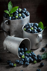 Freshly harvested blueberry in the old metal mug