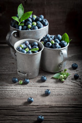 Tasty blueberry on old wooden rustic floor