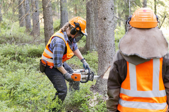 Lumberjack felling tree in forest