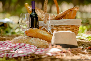 Picnic basket - wine and bread