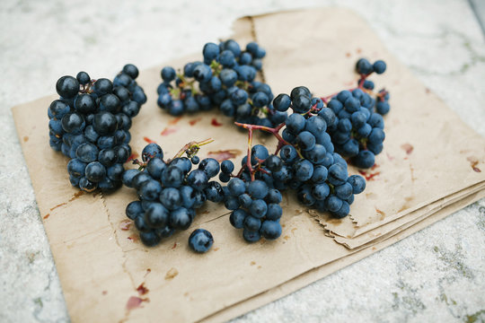 Red grapes on paper