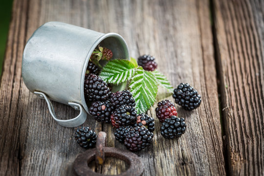 Juicy blackberry in the old metal mug