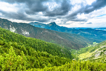 Fototapeta premium Green forest and mountains, panorama with top of the mountain in the sky