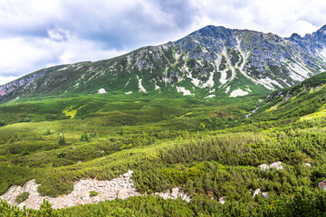 Mountain valley with green forest and mountains, panoramic landscape