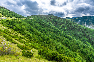 Fototapeta na wymiar Green mountain forest, panoramic vista of hills and trees from above, Tatra Mountains, landscape