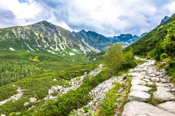 Fototapeta na wymiar Hiking trail in mountains, panoramic landscape of path over valley with green forest, evergreen nature in wilderness