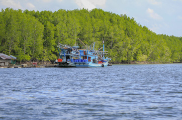 Fishing boat floating in the sea near the mangrove forest.