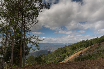 Die Usamabaraberge - Tansania