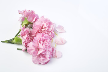 carnations flower for Mother's day
