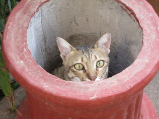 BM has his eyes on you