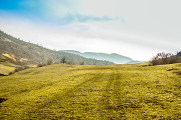Fototapeta premium Green grass field on blue sky with mountain at far distant. Car tyre trails on grass.