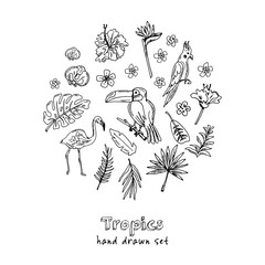 Hand drawn doodle tropics set © fafarumba