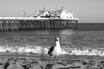 Malibu Beach Impressions