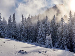 winter landscape with trees and mountains covered with snow and frost at sunrise
