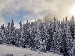 winter landscape with trees and mountains covered with snow and frost at sunrise