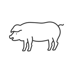 Pig linear icon