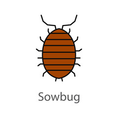 Woodlouse color icon