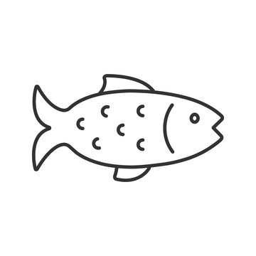 Fish linear icon