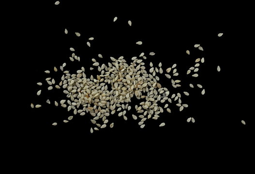 Sesame seeds pile isolated on black background, with clipping path
