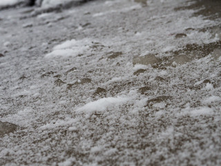 Forest dirty rough ice texture