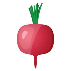 Radishes icon