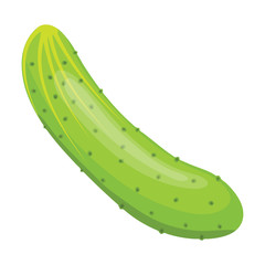 Cucumber icon