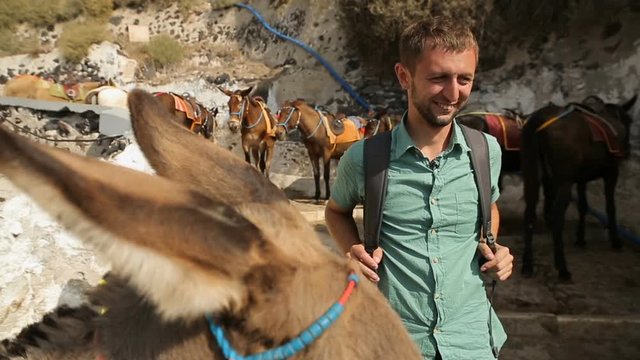 Donkeys with straddles standing on road, male petting donkey, tourist attraction