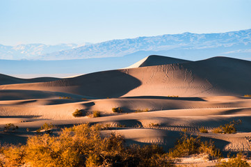 Mesquite Flat Sand dunes in Death Valley National Park, CA, USA.