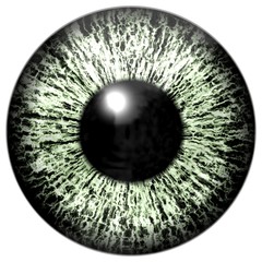 Beautiful colorful scary eye texture